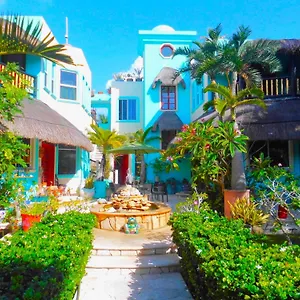 Casa Gatos México